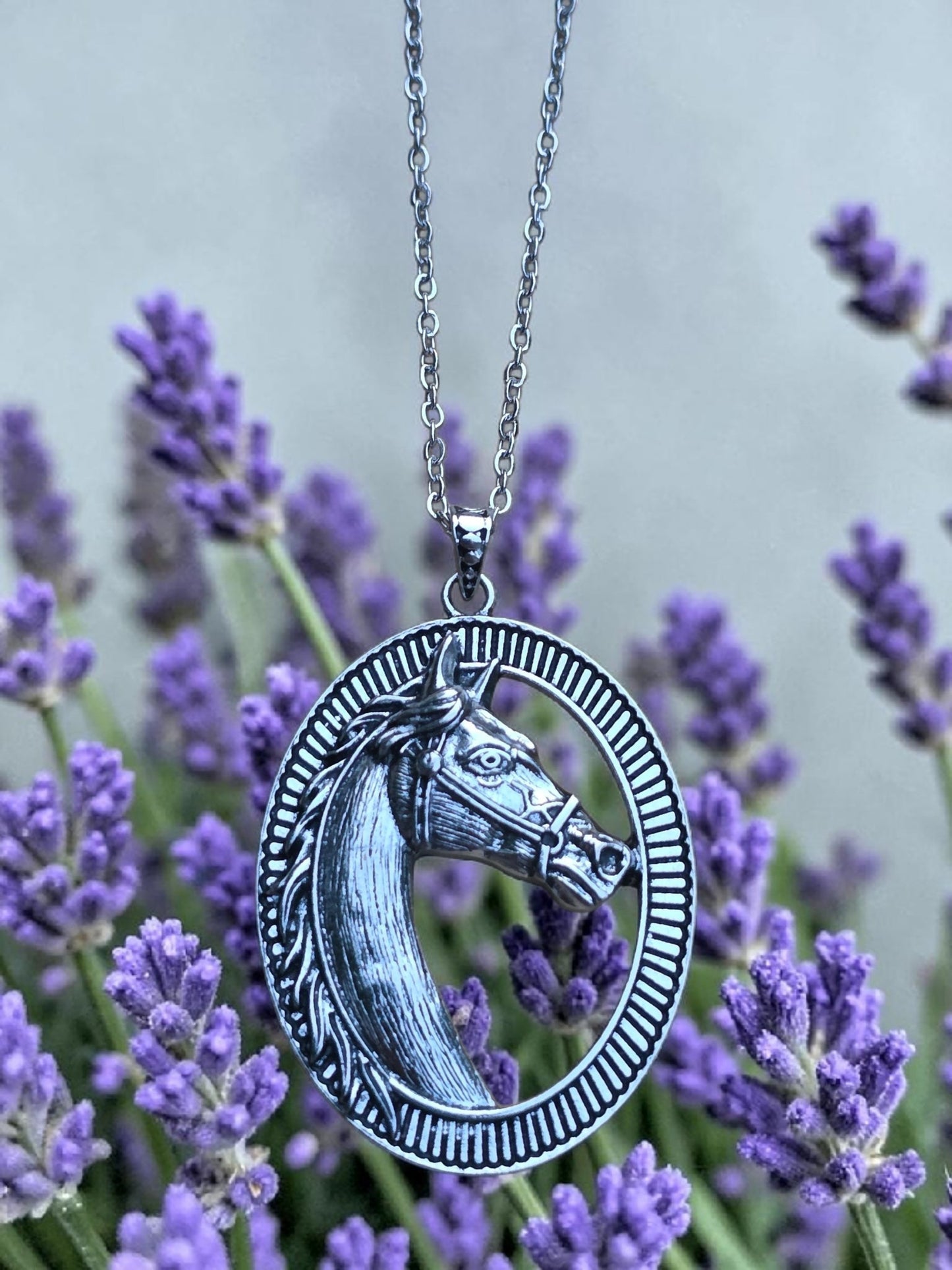 Horseshoe Necklace